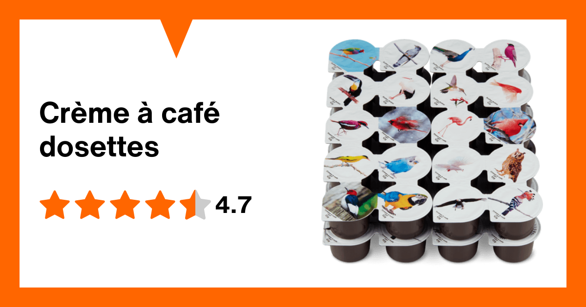 Ensemble d'étiquettes pour les grains de café | Vecteur Premium
